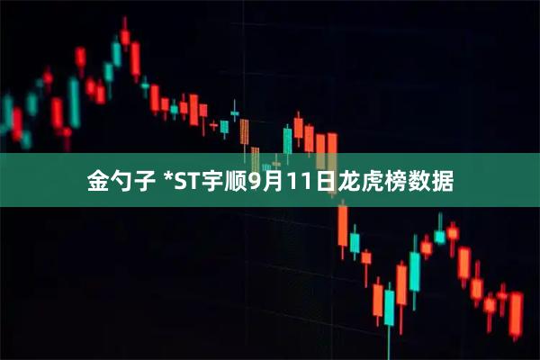 金勺子 *ST宇顺9月11日龙虎榜数据