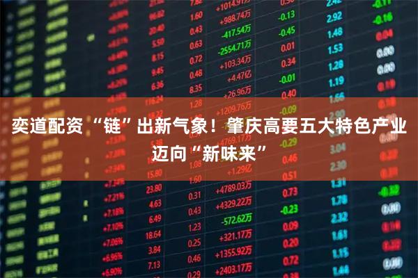 奕道配资 “链”出新气象！肇庆高要五大特色产业迈向“新味来”