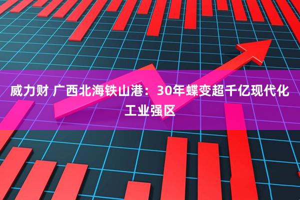 威力财 广西北海铁山港：30年蝶变超千亿现代化工业强区