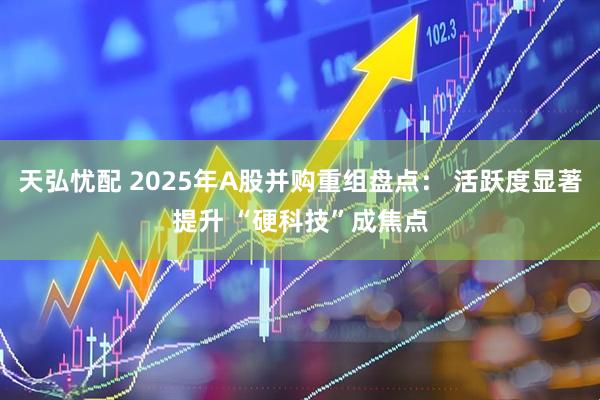 天弘忧配 2025年A股并购重组盘点： 活跃度显著提升 “硬科技”成焦点