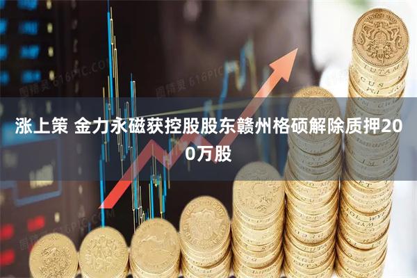 涨上策 金力永磁获控股股东赣州格硕解除质押200万股