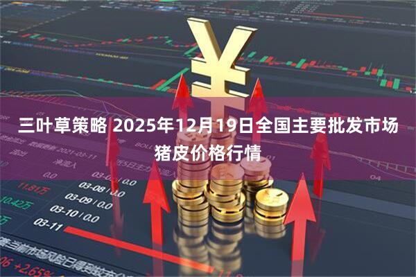 三叶草策略 2025年12月19日全国主要批发市场猪皮价格行情